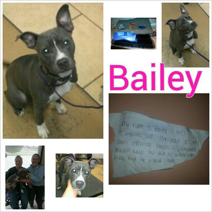 Bailey
